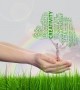 اطلاعات عمومی در خصوص کارت بازرگانی
